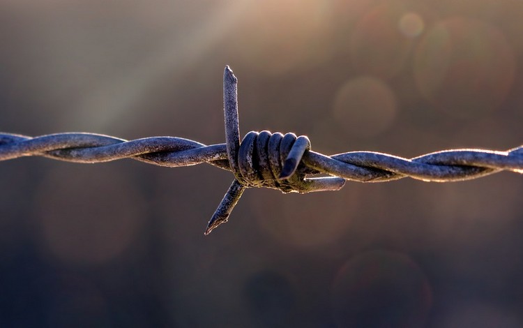 Default Alt